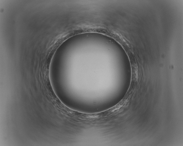 X0000071791157200607211615