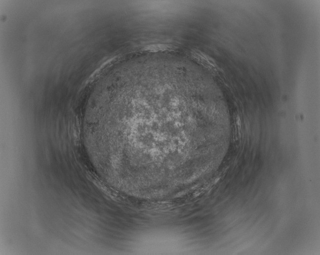 X0000071791158200607211615