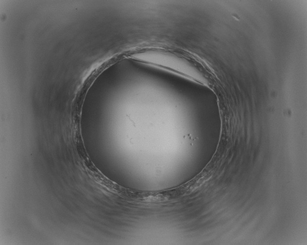 X0000071791160200607211615