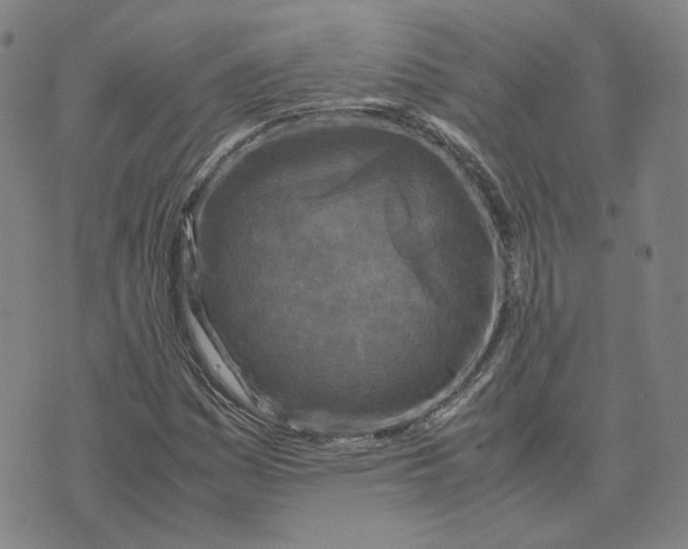 X0000071791161200607211615