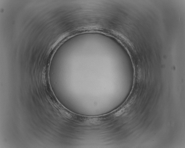 X0000071791162200607211615