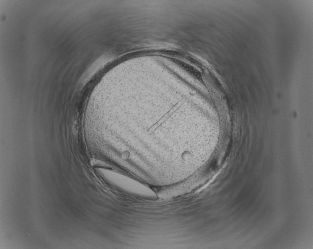 X0000071791163200607211615