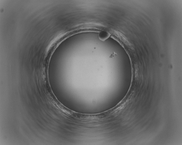 X0000071791164200607211615