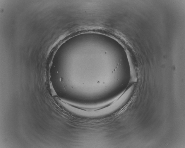 X0000071791165200607211615