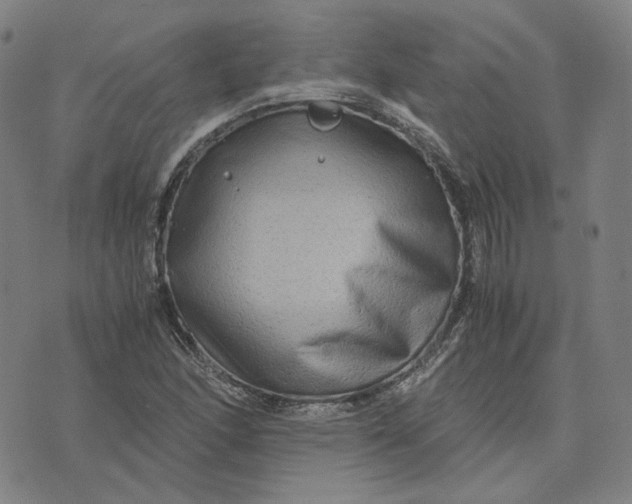 X0000071791166200607211615