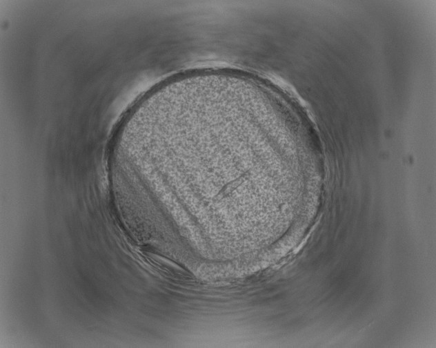 X0000071791167200607211615