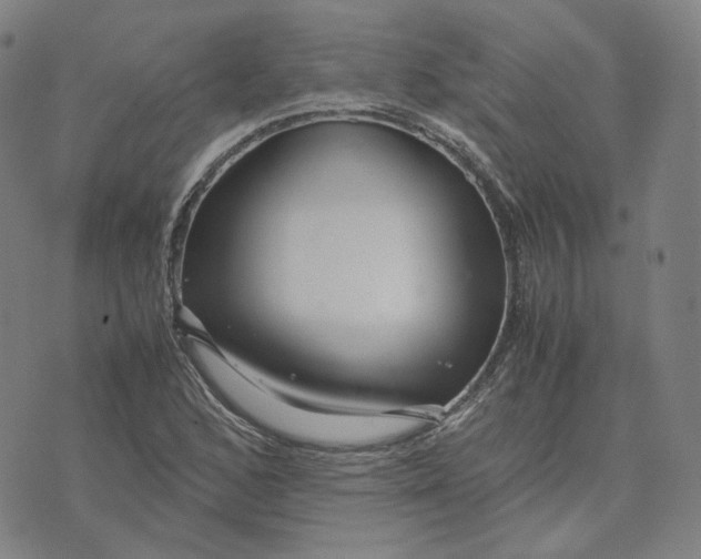 X0000071791168200607211615