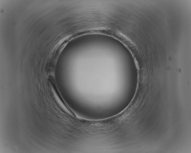 X0000071791169200607211615