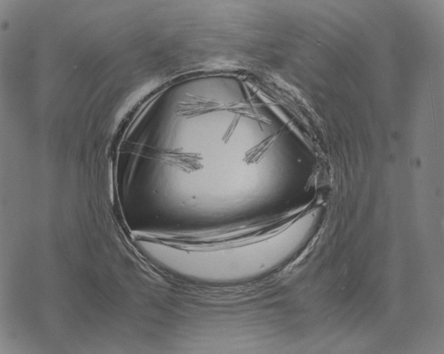 X0000071791171200607211615