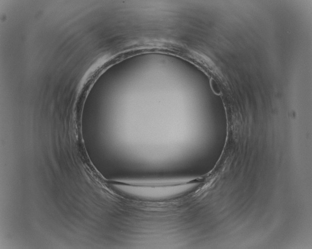 X0000071791172200607211614