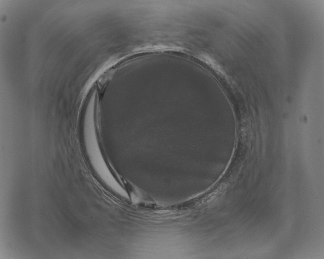 X0000071791173200607211614