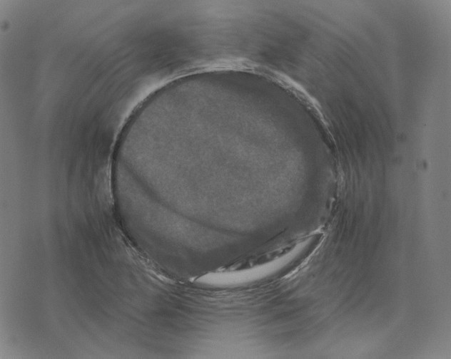 X0000071791174200607211614