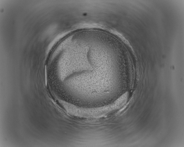 X0000071791175200607211614