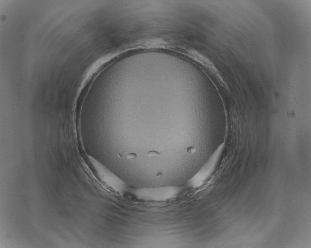 X0000071791176200607211614