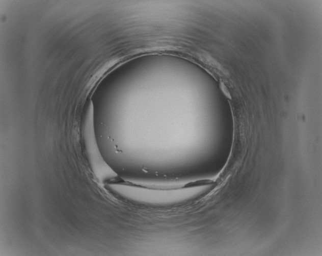 X0000071791177200607211614