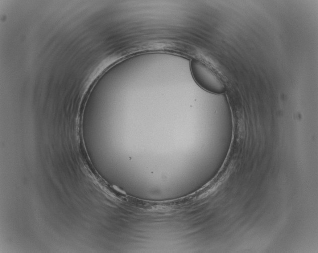 X0000071791178200607211614