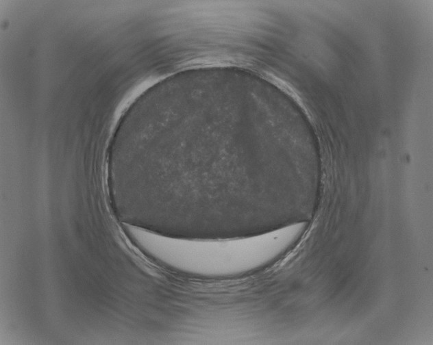 X0000071791179200607211614