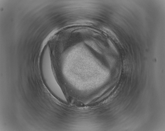 X0000071791180200607211614