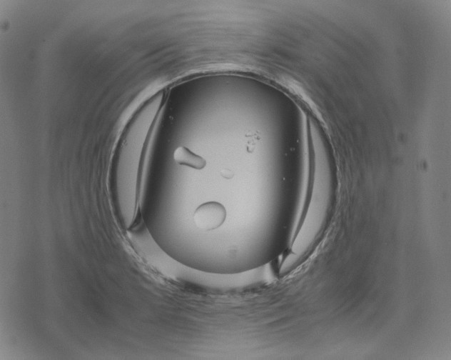 X0000071791181200607211614