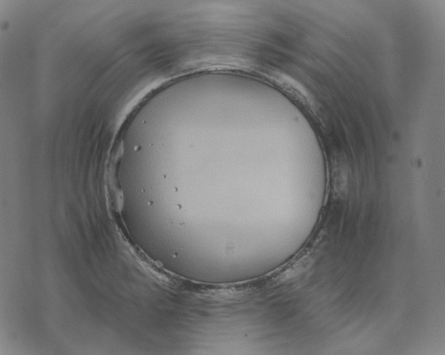 X0000071791182200607211614