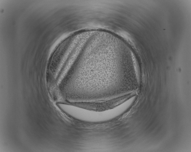 X0000071791183200607211614