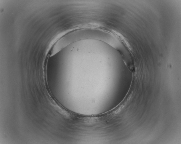 X0000071791184200607211614