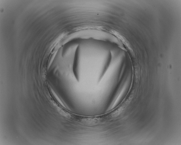 X0000071791185200607211614