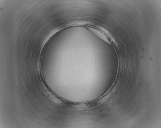 X0000071791186200607211614