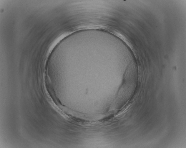 X0000071791187200607211614