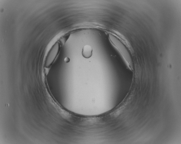 X0000071791188200607211614