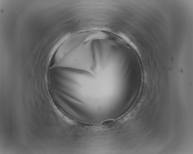 X0000071791189200607211614