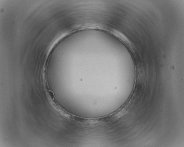 X0000071791190200607211614