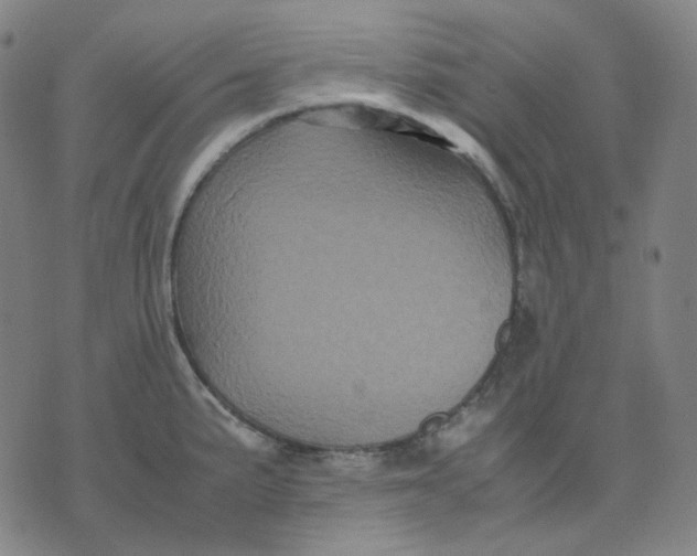 X0000071791191200607211614