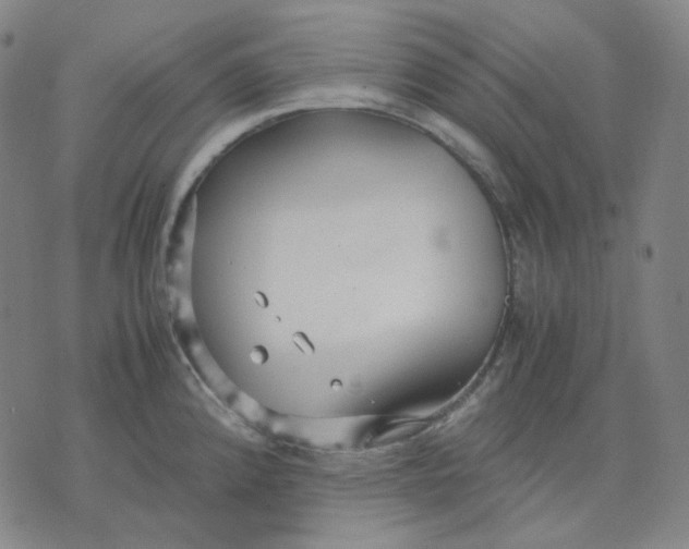 X0000071791192200607211614