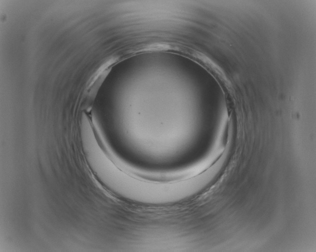 X0000071791193200607211614