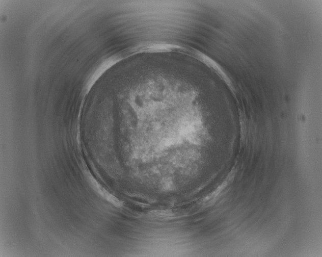 X0000071791194200607211614