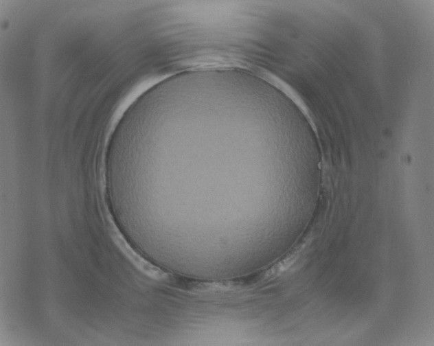 X0000071791195200607211614