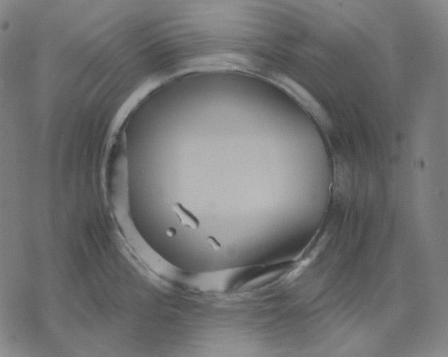 X0000071791196200607211614