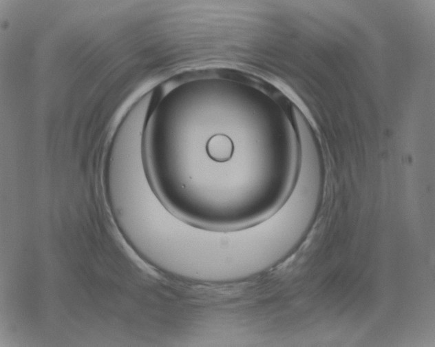 X0000071791197200607211614