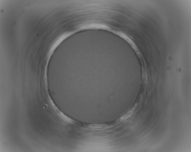 X0000071791199200607211614