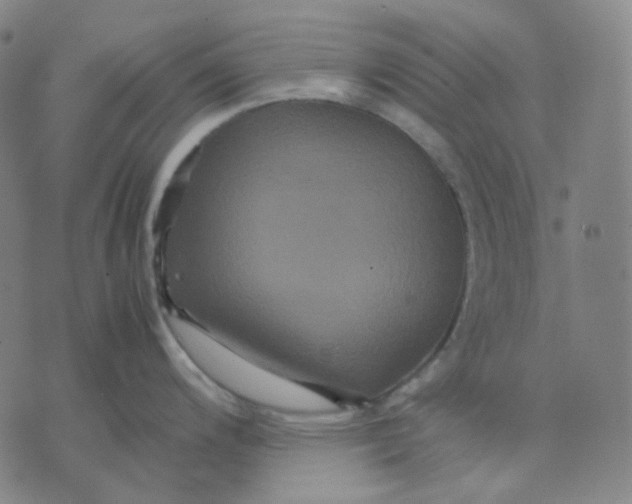 X0000071791200200607211614