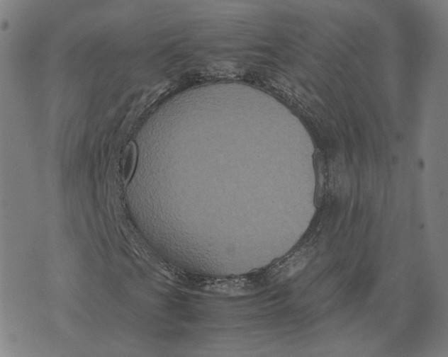 X0000071791201200607211613