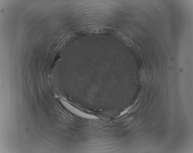 X0000071791202200607211613