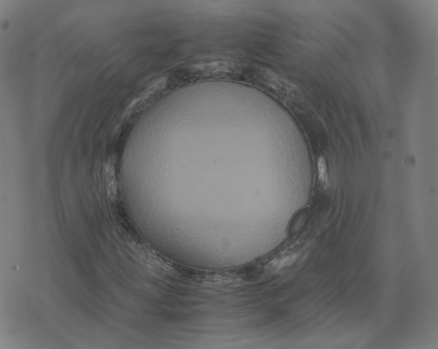 X0000071791203200607211613