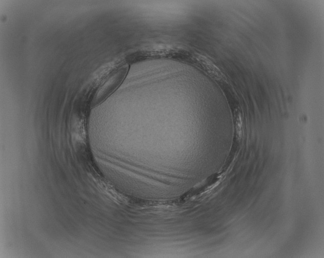 X0000071791204200607211613