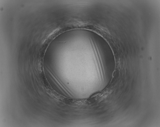 X0000071791205200607211613