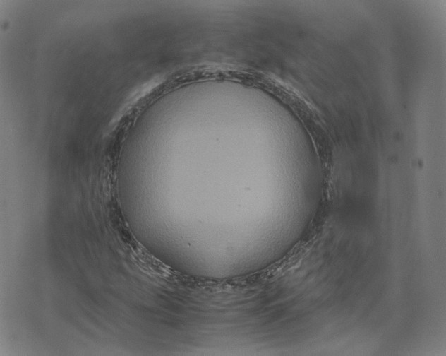 X0000071791207200607211613