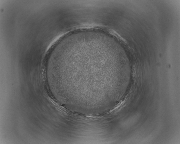 X0000071791208200607211613