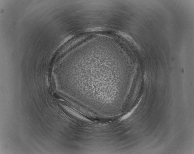 X0000071791209200607211613