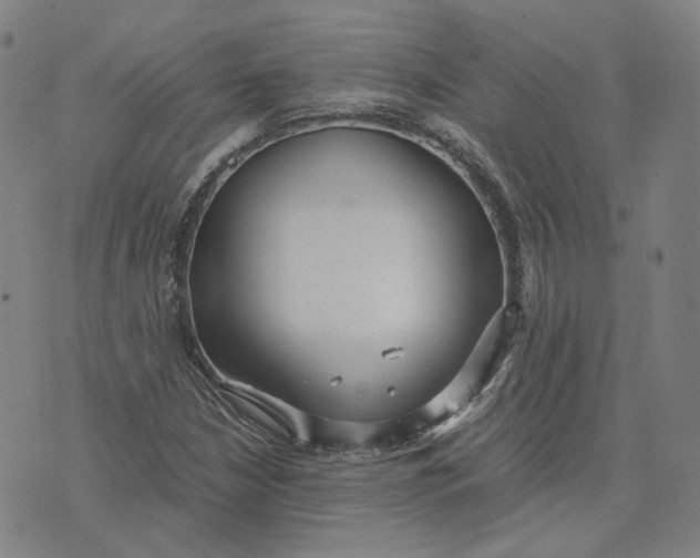 X0000071791210200607211613